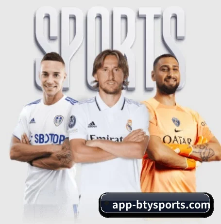 必一体育 APP - bsports