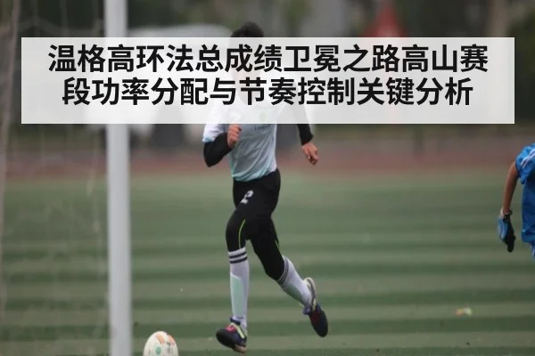 温格高环法总成绩卫冕之路高山赛段功率分配与节奏控制关键分析（bsports）